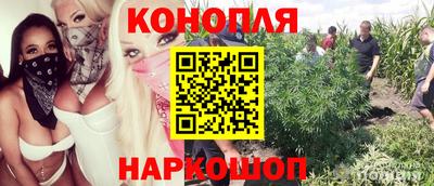 ГАЛЛЮЦИНОГЕННЫЕ ГРИБЫ Будённовск