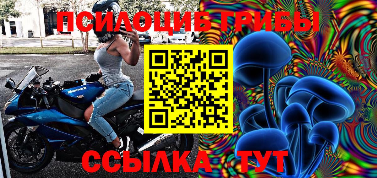 Узловая  Псилоцибиновые грибы Cubensis  Вход с VPN 