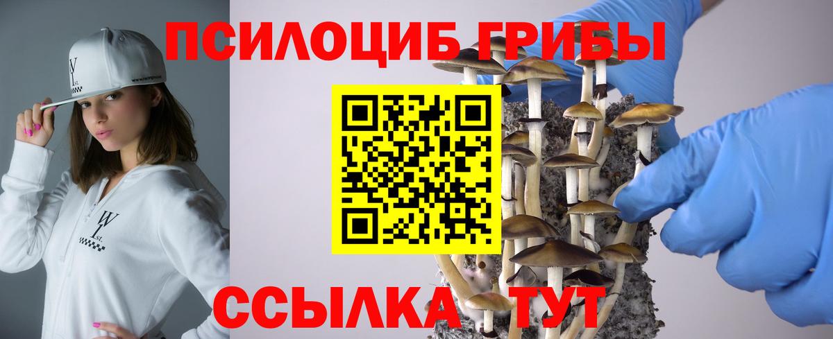Псилоцибиновые грибы Psilocybine cubensis Узловая